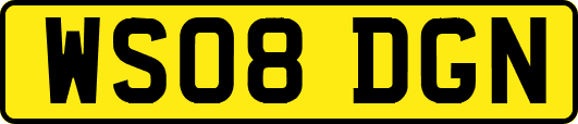 WS08DGN