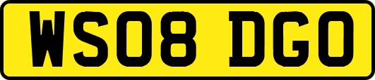 WS08DGO