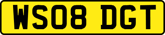 WS08DGT