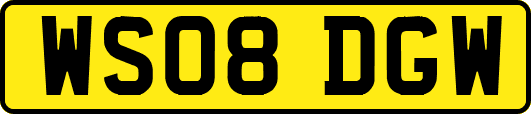 WS08DGW