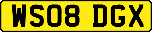 WS08DGX