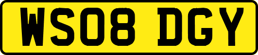 WS08DGY