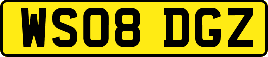WS08DGZ