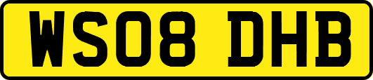 WS08DHB