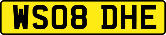 WS08DHE