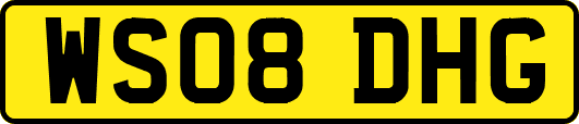 WS08DHG
