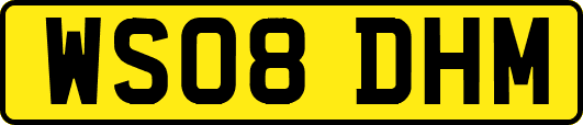 WS08DHM