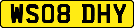 WS08DHY