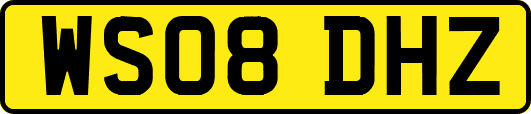 WS08DHZ