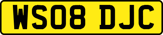 WS08DJC