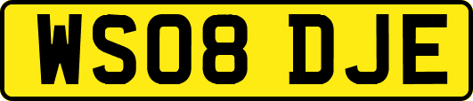 WS08DJE