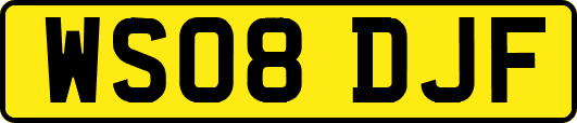 WS08DJF