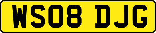 WS08DJG