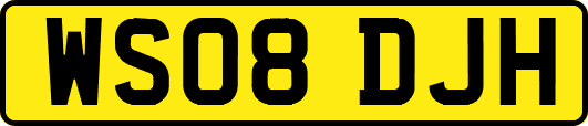 WS08DJH