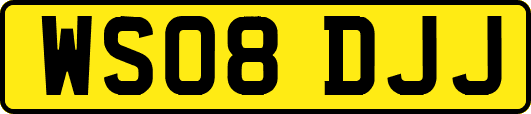 WS08DJJ