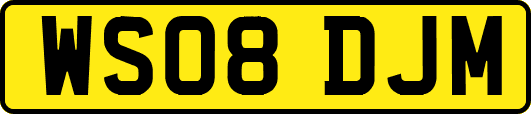 WS08DJM