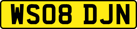 WS08DJN