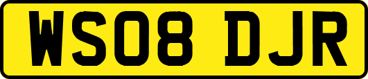 WS08DJR
