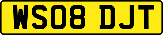 WS08DJT