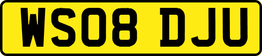 WS08DJU