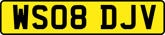 WS08DJV
