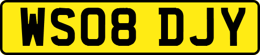 WS08DJY