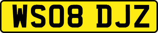 WS08DJZ