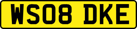 WS08DKE