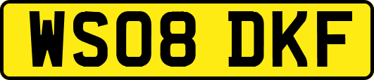 WS08DKF