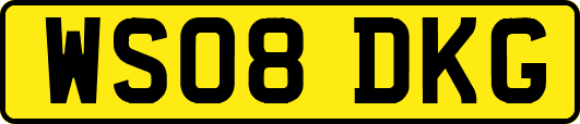 WS08DKG