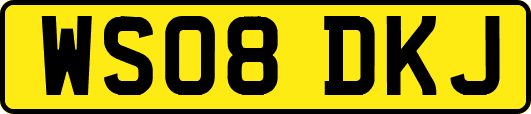 WS08DKJ