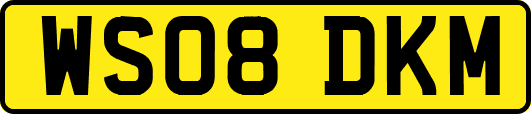 WS08DKM