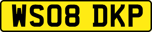 WS08DKP