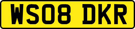 WS08DKR