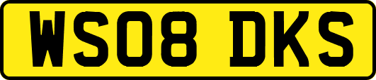 WS08DKS