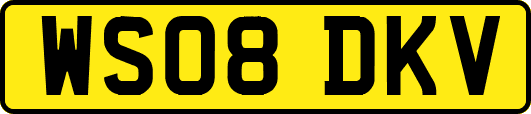 WS08DKV