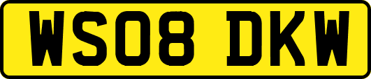WS08DKW