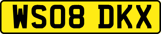WS08DKX