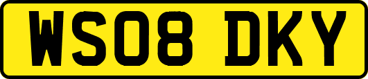 WS08DKY