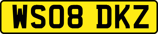 WS08DKZ