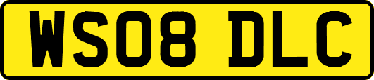 WS08DLC