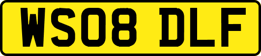 WS08DLF