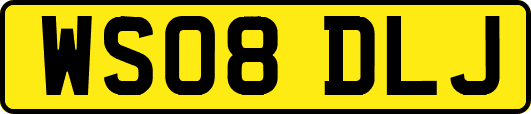 WS08DLJ