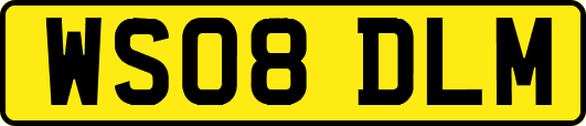 WS08DLM