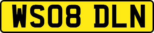 WS08DLN