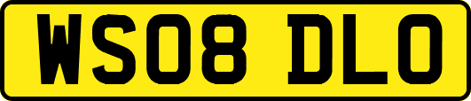 WS08DLO