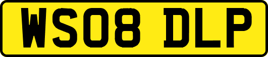 WS08DLP