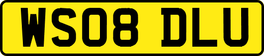 WS08DLU