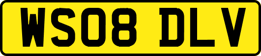 WS08DLV