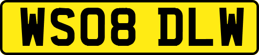 WS08DLW